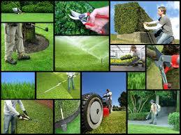 Professional Gardening Services (Albania)	 - 1