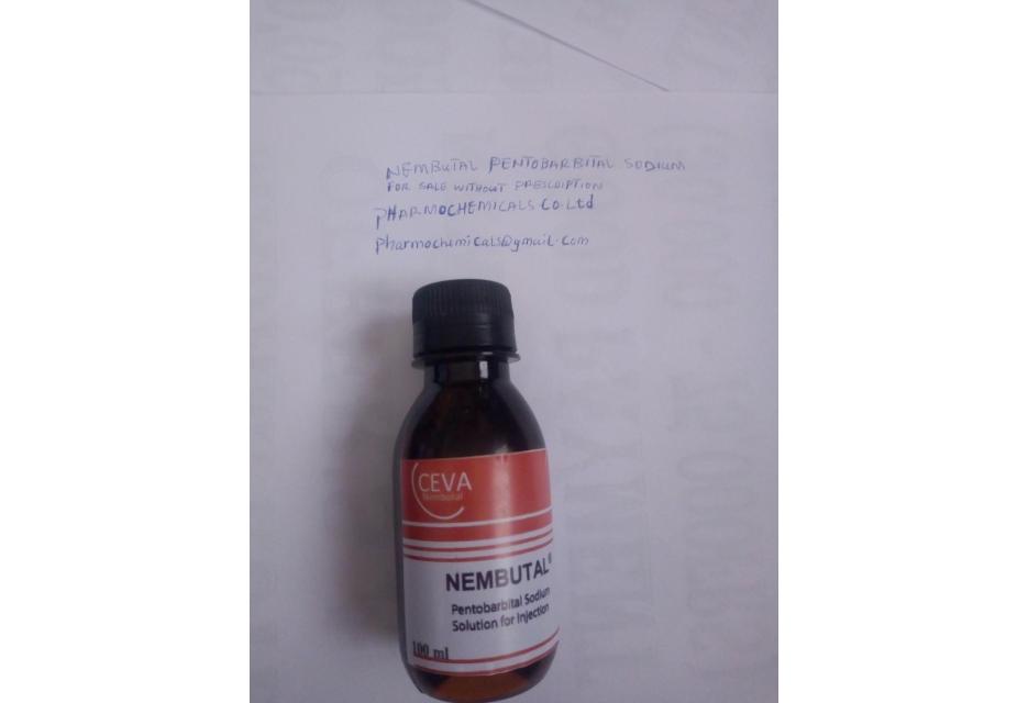 Nembutal Pentobarbital Sodium në shitje pa recetë - 1